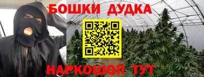 прущие крисы Обь