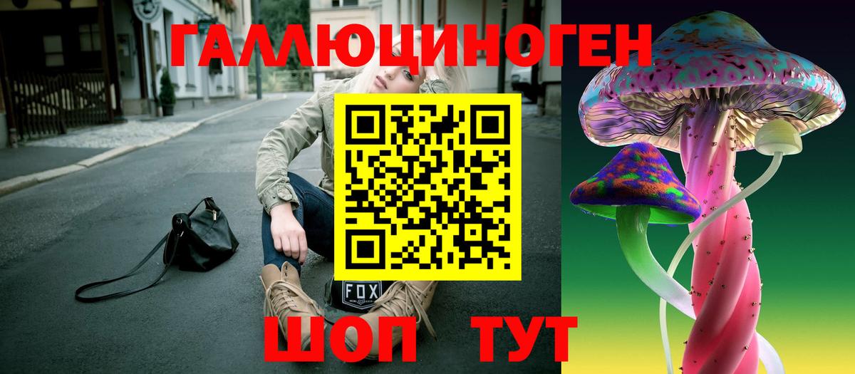 Псилоцибиновые грибы Psilocybine cubensis  Вход с VPN  Спасск-Дальний 